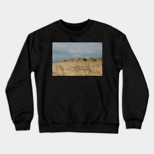 Sand dunes in Letea forest , in the Danube Delta area, Romania, in a sunny summer day Crewneck Sweatshirt